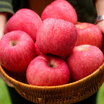 现摘精选正宗陕西洛川苹果红富士脆甜冰糖心苹果批发整箱新鲜苹果水果