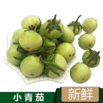 新鲜小圆茄越南小青茄绿茄子quacaphao chuaxanh泰国料理泡菜 1斤小青