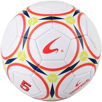 EVERVON 足球儿童成人训练标准 耐磨机缝足球 5号PVC足球 EFP5-883