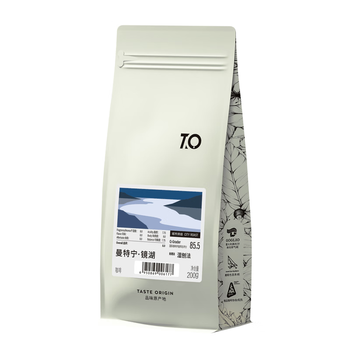TO精品咖啡豆 印尼苏门答腊曼特宁镜湖200g 湿刨法 原产地手冲单品