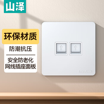 山泽 网线网口网络面板 通用超五/六/七类模块加厚86型面板 适用电脑房间网络插座 二位 WAN-02