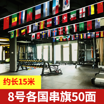 贸丰 各国国旗吊旗悬挂串旗酒吧活动教室布置装饰旗帜【8号各国】50面旗 约15米/1条