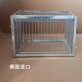 天落笼/只进不出鸽子笼/抓鸽子跳笼神器/捕鸽子信鸽用品用具撞门 银40