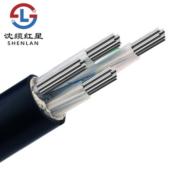 沈缆红星 电缆线YJLV-0.6/1KV 4*95平方四芯铝缆架空户外电线电缆 1米