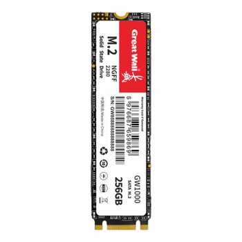长城（Great Wall）256GB SSD固态硬盘 M.2接口SATA协议 读速540MB/S GW1000系列
