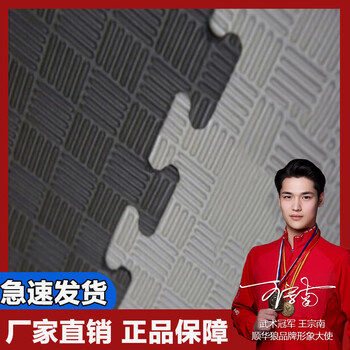 顺华狼跆拳道地垫训练瑜伽垫泡沫拼接地垫运动地垫100*100*2.5cm黑灰色