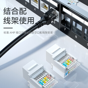 胜为（shengwei）六类网络模块 CAT6免打镀金网络面板模块 RJ45水晶头电脑网线插座连接头 CMK6003H