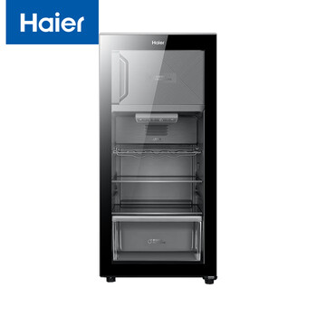 海尔（Haier）立式冰吧 冷柜 133升冷藏冷冻双温小体积 保湿防凝露低噪 DS0133LH69D1