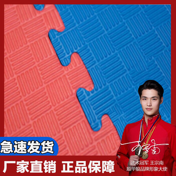 顺华狼跆拳道地垫训练瑜伽垫泡沫拼接地垫运动地垫100*100*2.0cm红蓝色