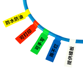 NVV 网线标签贴纸A4网络布线不干胶通信机房线缆标签打印纸 P型分类贴手写/激光打印5色300枚BQ-P10