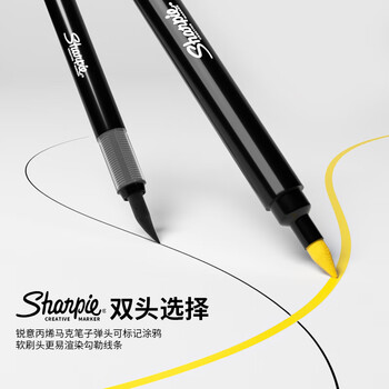 锐意（Sharpie）硬头丙烯马克笔水性水彩笔防水防褪色耐光涂鸦手绘diy创作可叠色-5支装美术写生水彩笔