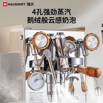 海氏（Hauswirt）C6机械师咖啡机半自动意式专业奶泡机家商用私房 基础款 无外接水 银色