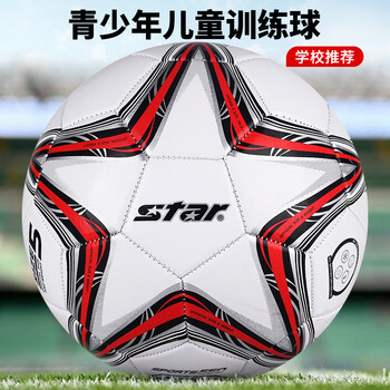 世达（star）足球5号儿童少儿标准比赛训练专用球校园世界杯PVC耐磨SB8235-04