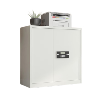 丰龙保密柜文件柜智能密码锁档案柜办公资料铁皮柜凭证柜单节无抽
