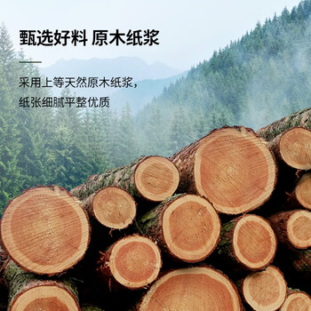 天印(Tanyo)一联整张撕边电脑打印纸 白色针式打印纸(241-1-1/1S 色序:白 1000页/箱) 天印(Tanyo)一联整张撕边电脑打印纸 白色针式打印纸(241-1-1/1S 色序:白 1000页/箱)