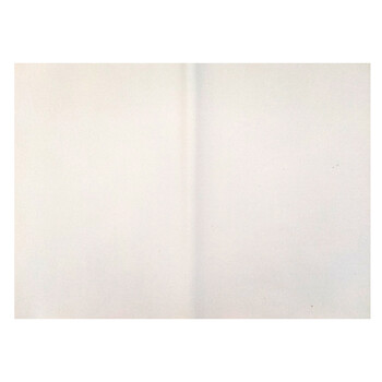 芬尚 文房四宝之宣纸 四开生宣书法专用纸初学练习创作纸学生毛笔书法国画课堂练习用纸52*36cm/35张