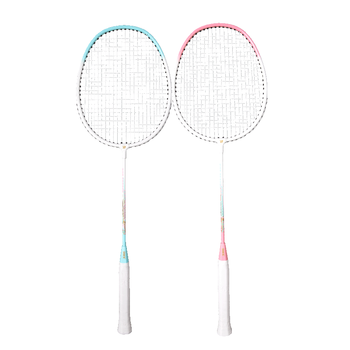 红双喜（DHS）羽毛球拍对拍套装(含手胶/球)深凹槽防磨升级训练羽拍   