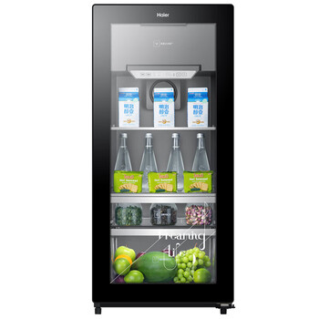 海尔（Haier）120升智能双温家用客厅办公室冷藏柜暖藏冰吧 茶叶饮料水果保鲜柜囤货小型冰箱