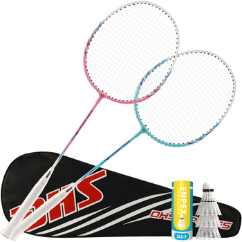 红双喜（DHS）羽毛球球拍对拍套装训练比赛超轻耐打成人学生防磨羽拍 P200附3球