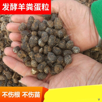 羊粪发酵有机肥 羊粪发酵有机肥 铁皮石斛肥料兰花基肥缓释肥鸡粪肥干