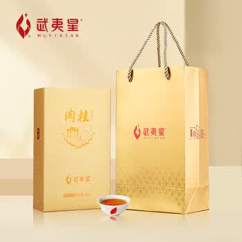 武夷星乌龙茶山语武夷山岩茶肉桂特级96g中火盒装节日送礼茶叶SY1600