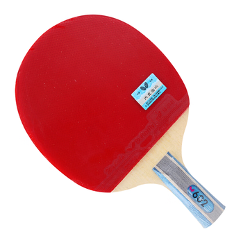 蝴蝶（BUTTERFLY）六星级乒乓球拍直拍双面反胶专业比赛单拍602内含拍套