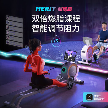 麦瑞克（MERACH） 智能调阻磁控坡度双滑轨划船机Q1插电款-白-支持HUAWEI HiLink