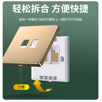 毕亚兹 网络面板 双网口网线电脑插座双扣 适用网络电话信息模块 通用超5/6/7类86型面板金色双口 1个装