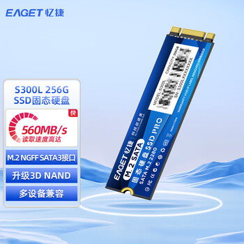 忆捷（EAGET）S300L-256G 固态（SSD、M.2、NGFF）