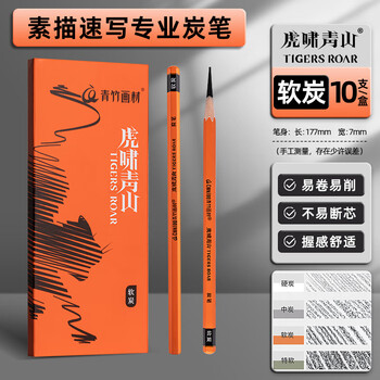 空色炭笔素描铅笔软炭美术生专用笔黑硬炭笔速写绘画工具初学者学生套装碳素画笔10支/盒美术写生