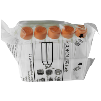 康宁 75cm正方透气盖斜口细胞培养瓶矩形斜颈瓶密封组织样品瓶实验室 【灭菌】75cm透气盖，5个/包 430641