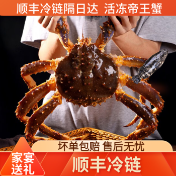 活冻俄罗斯帝王蟹冰鲜水产鲜活螃蟹海鲜超大长脚蟹生鲜帝皇蟹 8-8.5斤一只装 活冻