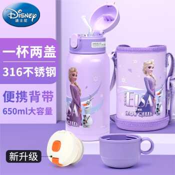 迪士尼（Disney）儿童保温杯吸管直饮杯316不锈钢大容量带杯套水壶650ml冰雪奇缘