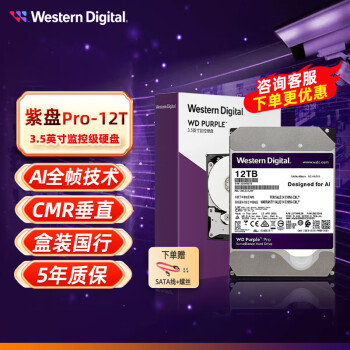 西部数据（WD） 紫盘Pro  SATA6Gb/s 7200转 台式机电脑安防监控机械硬盘 监控硬盘 垂直硬盘 台式硬盘 12TB 紫盘PRO【WD121EJRP】