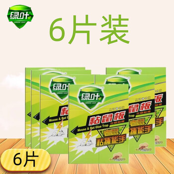 绿叶粘鼠板 6个装 老鼠贴 强力黏鼠器 灭鼠板 诱捕器 GL02120