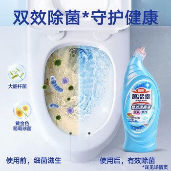 花王（KAO）双效洁厕液海洋清香650ml进口马桶清洁剂洁厕灵厕所清洁剂蓝泡泡
