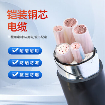 郑源 铠装铜芯电线电缆ZR-YJV-0.6/1KV 3*25+2 一米价