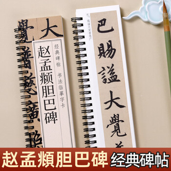 宛陵文韵书法毛笔字帖赵孟頫胆巴碑楷书毛笔书法字帖经典碑帖临摹字卡活页简体旁注清晰