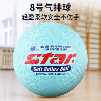 世达气排球8号球成人训练比赛标准用球气排球乳胶 软排蓝色CB818-07