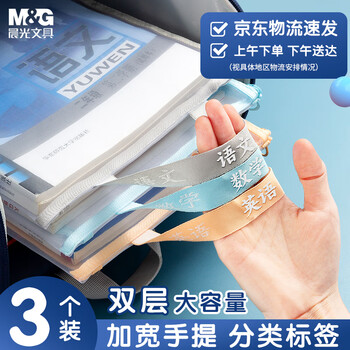 晨光（M&G）文具 学科分类可手提透明文件袋小学生拉链袋作业科目收纳书本袋 双层网纱语数英 ADM945A6