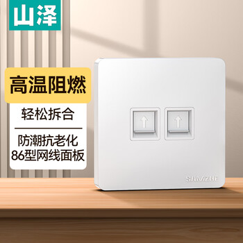 山泽网线网口网络面板 通用超五/六/七类模块加厚86型阻燃面板 适用电脑房间网络插座 二位 ZWB-02