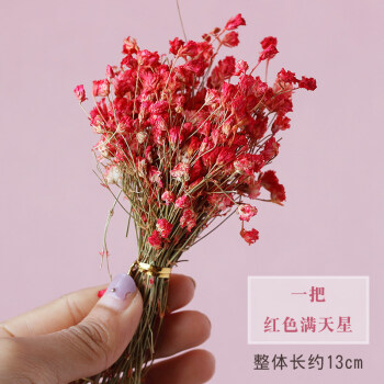 小清新ins风满天星干花花瓶客厅玻璃插花花器创意餐桌北欧小摆件 红色