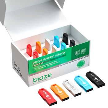毕亚兹 盒装 16GB USB2.0投标U盘 环保迷你 公司企业竞标专业投标优盘 十只装 UP018