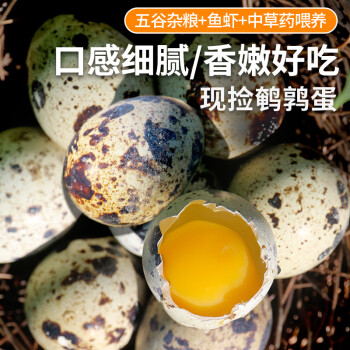 密农人家新鲜鹌鹑蛋 农家杂粮喂养小鸟蛋 现捡生蛋 新鲜鹌鹑蛋30枚 30枚
