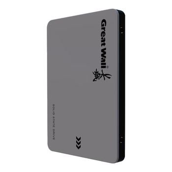 长城（Great Wall）256GB SSD固态硬盘 SATA3.0接口 读速540MB/S台式机/笔记本通用 GW560系列
