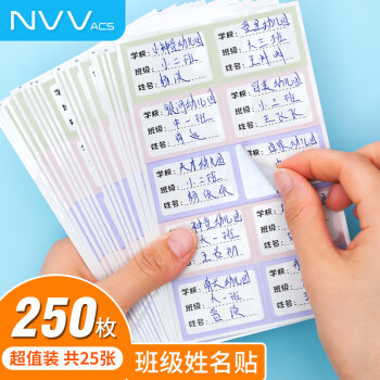 NVV 彩色班级姓名贴名字贴250枚 不干胶姓名贴标签贴纸 小学生课本手写名字自粘贴纸学生文具BQ-BJT