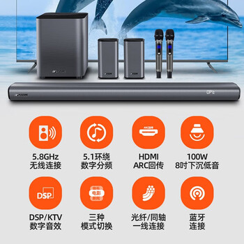 山水（SANSUI）DV-91K02回音壁 家庭KTV音响套装 5.1电视音响家庭影院无线3D环绕 家用客厅壁挂带麦克风