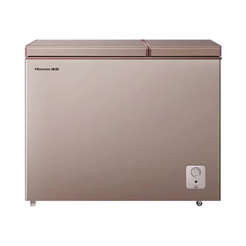 海信（Hisense）206升双温冰柜一级能效冷藏冷冻两用独立分区速冻小型冷柜BCD-206NUD