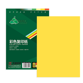 天章 （TANGO）A4 80g金黄色复印纸 彩色打印纸 儿童幼儿园软卡纸 学生手工DIY折纸剪纸彩纸 非硬卡纸  100张/包