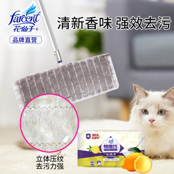 花仙子(Farcent)湿拖巾4包(48张)抗菌柠檬香一次性纸巾平板拖把地板可替换拖布 花仙子(Farcent)湿拖巾4包(48张)抗菌柠檬香一次性纸巾平板拖把地板可替换拖布